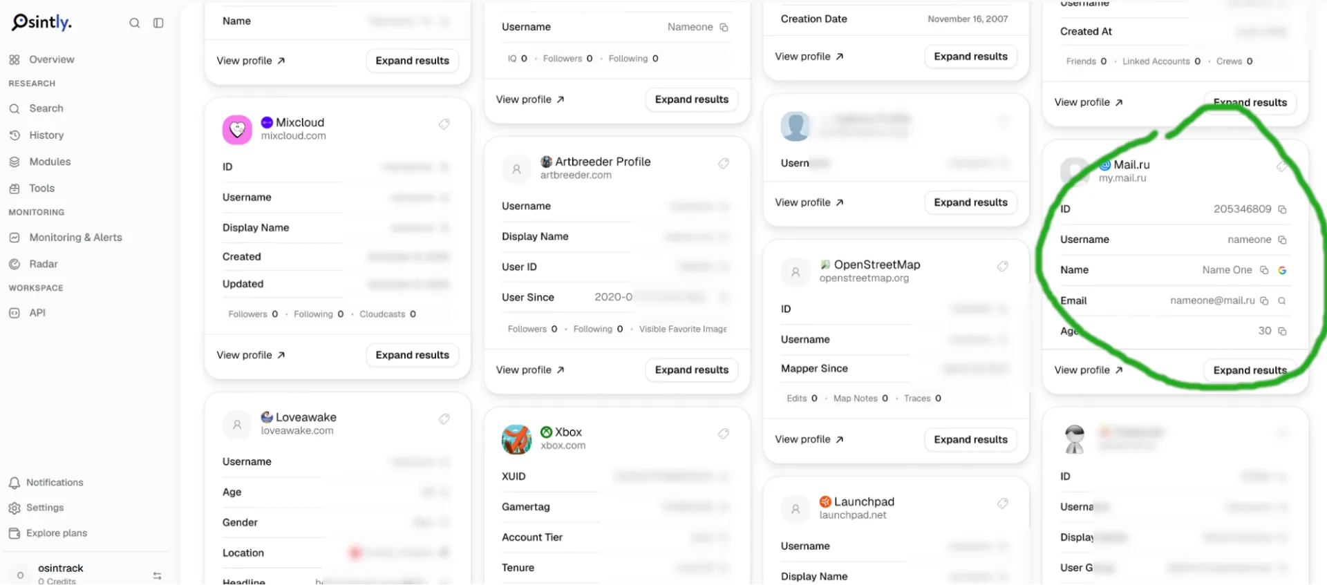 Osintly results showing matching profiles